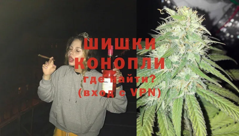 Конопля Ganja  Георгиевск 